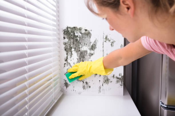 Женщина чистит плесень со стены возле окна в желтых перчатках.