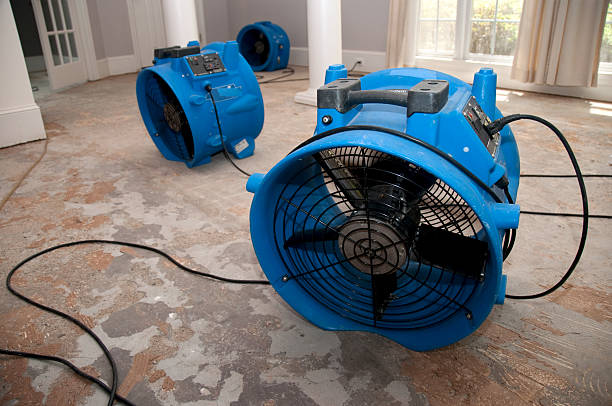 Промышленные синие воздуходувки сушат пострадавшую от наводнения комнату с голыми бетонными полами и белыми стенами.